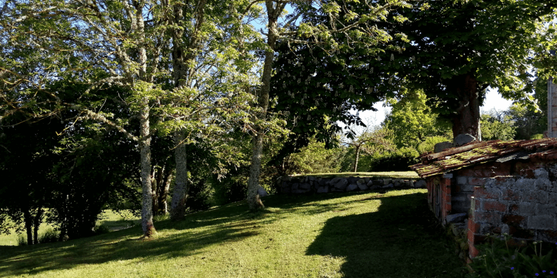 jardin arboré devant gite